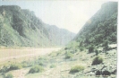 Klowers