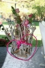Same birthday_2